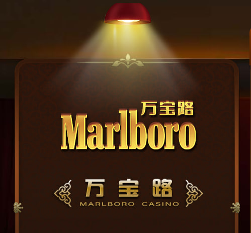 华纳东方明珠品牌图7